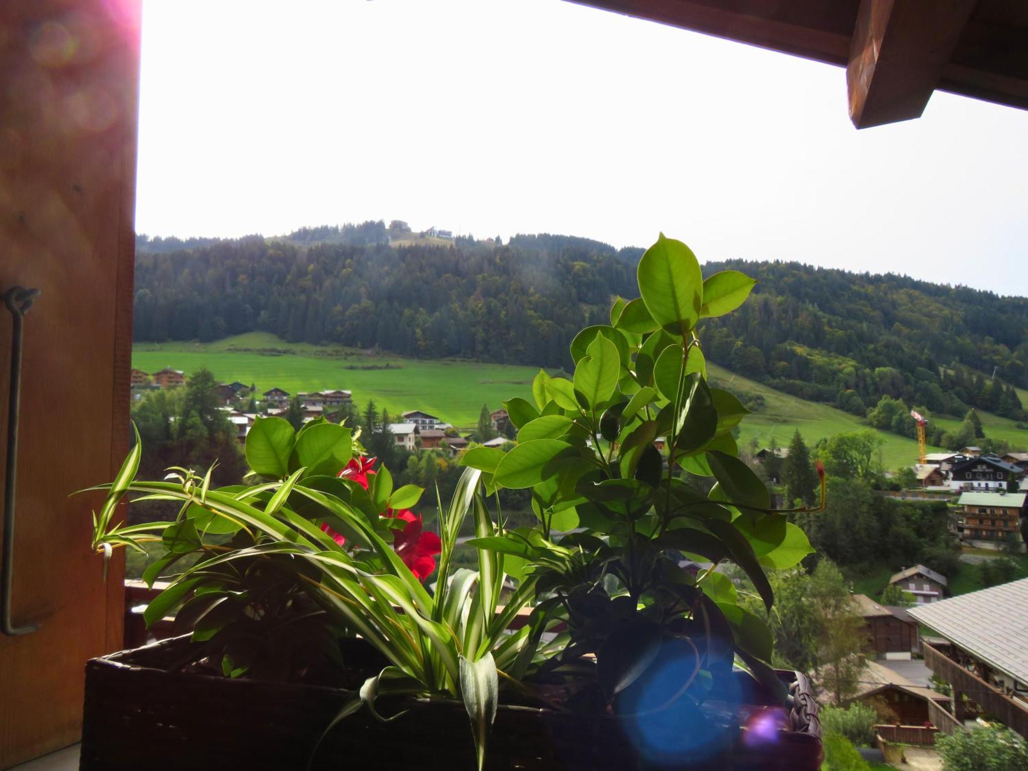 Chalet Chez Gaby 2 - Vue Imprenable Au Calme - Proche Du Centre Морзин Экстерьер фото